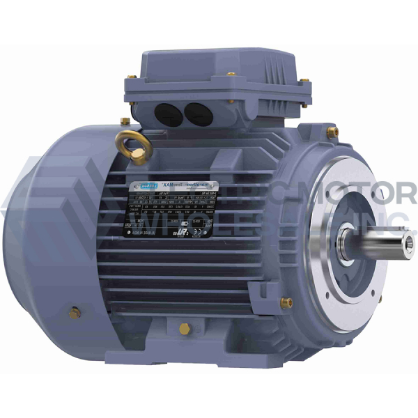 Image for 4HP MARATHON 1765RPM 100L IP55 3PH B3/B14 TERRAMAX IEC MOTOR R952